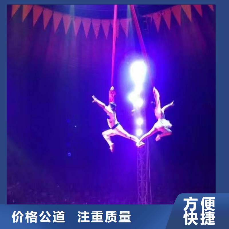 马戏团表演出租图片