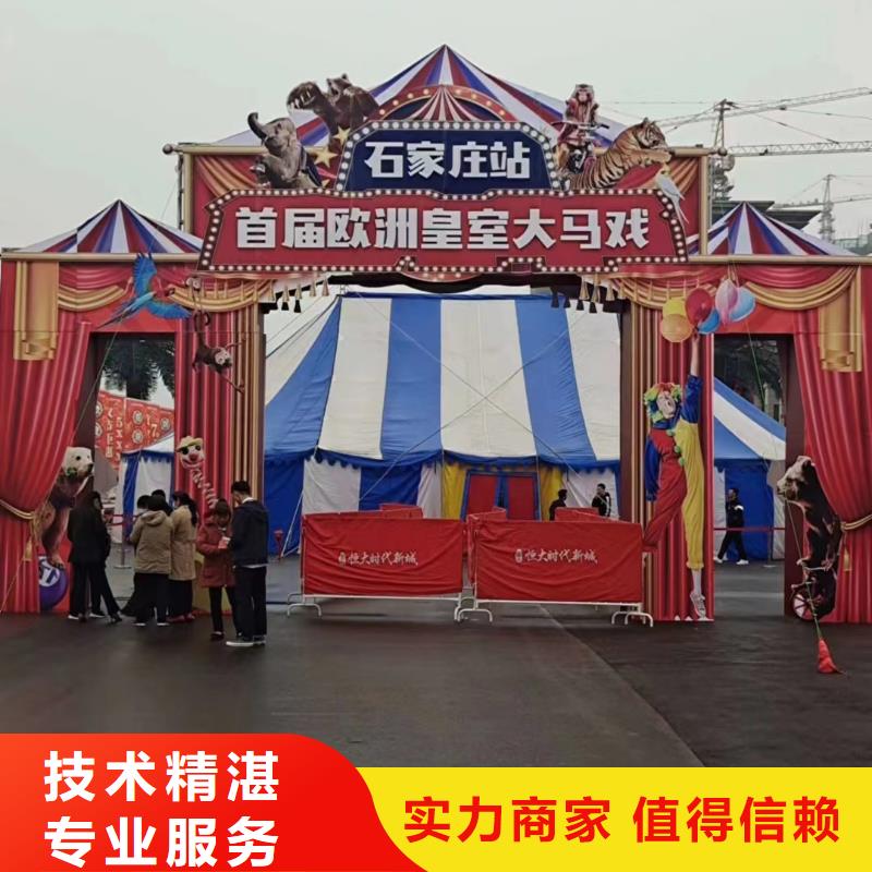 出租羊驼公司