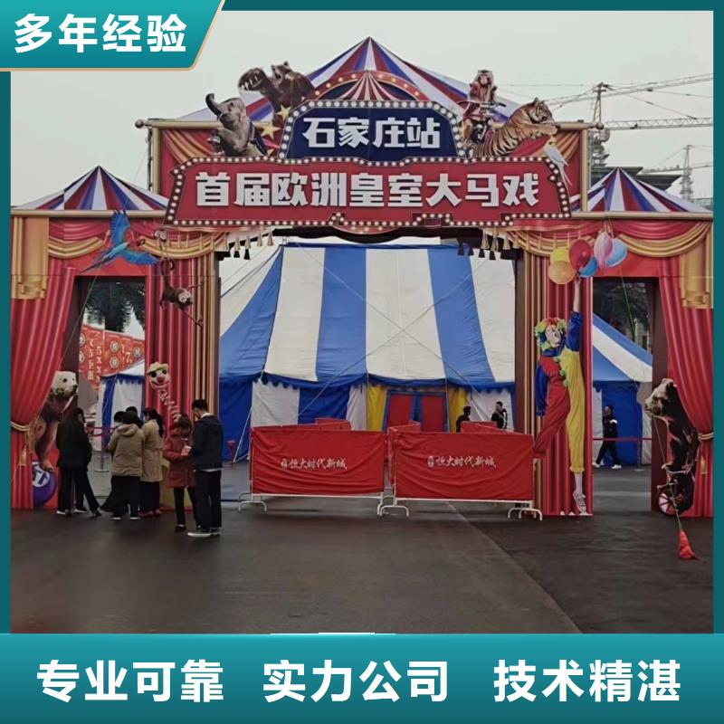 租赁羊驼资源丰富