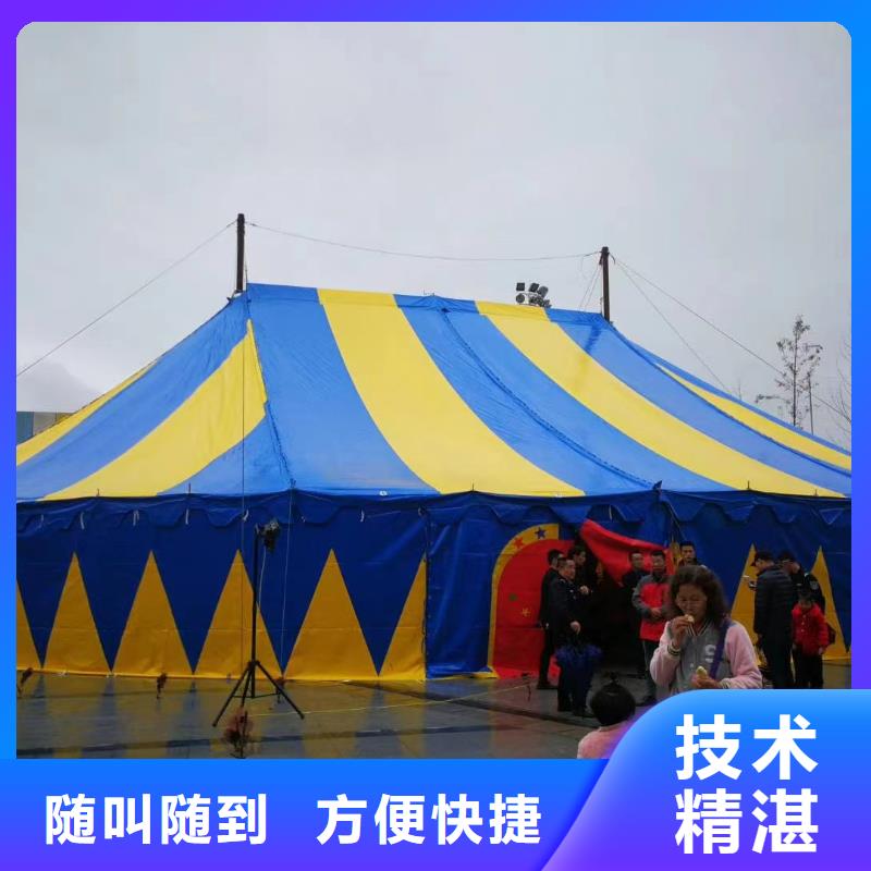 哪里有出租羊驼的暖场活动
