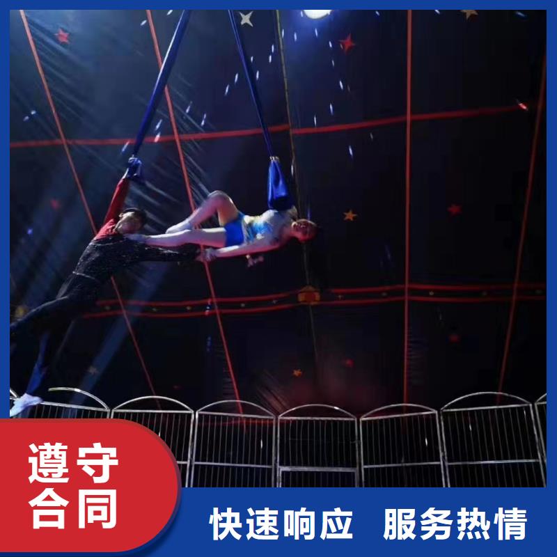 杂技表演出租