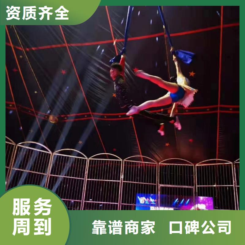 马戏团演出马戏团表演出租