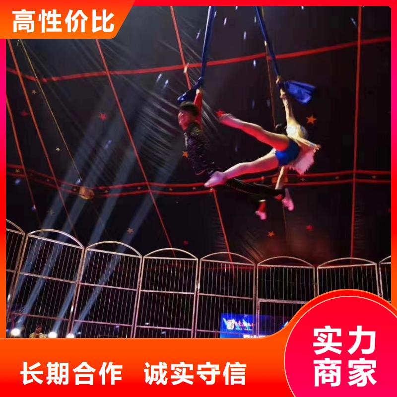 萌宠动物展租赁图片案例