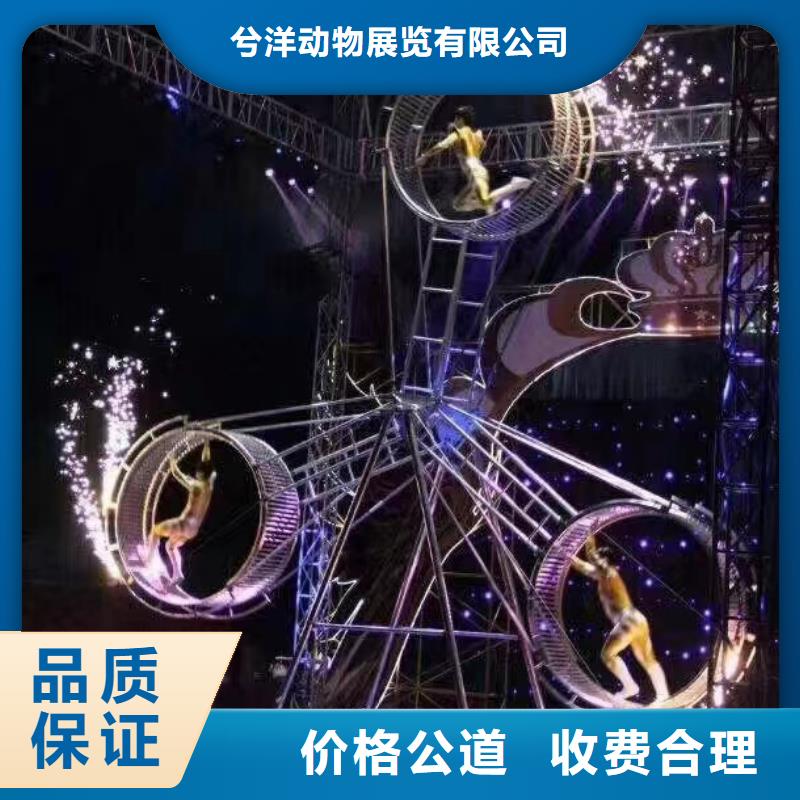 萌宠动物出租图片案例