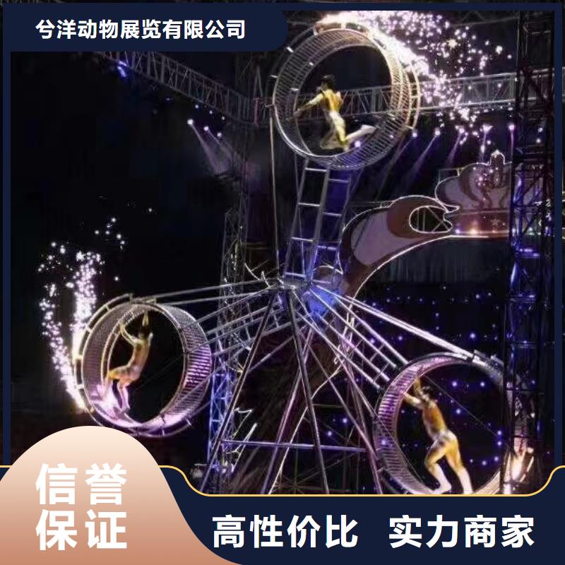 萌宠动物展租赁图片案例