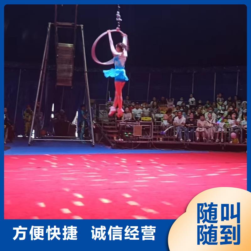 哪里有羊驼租赁的图片案例