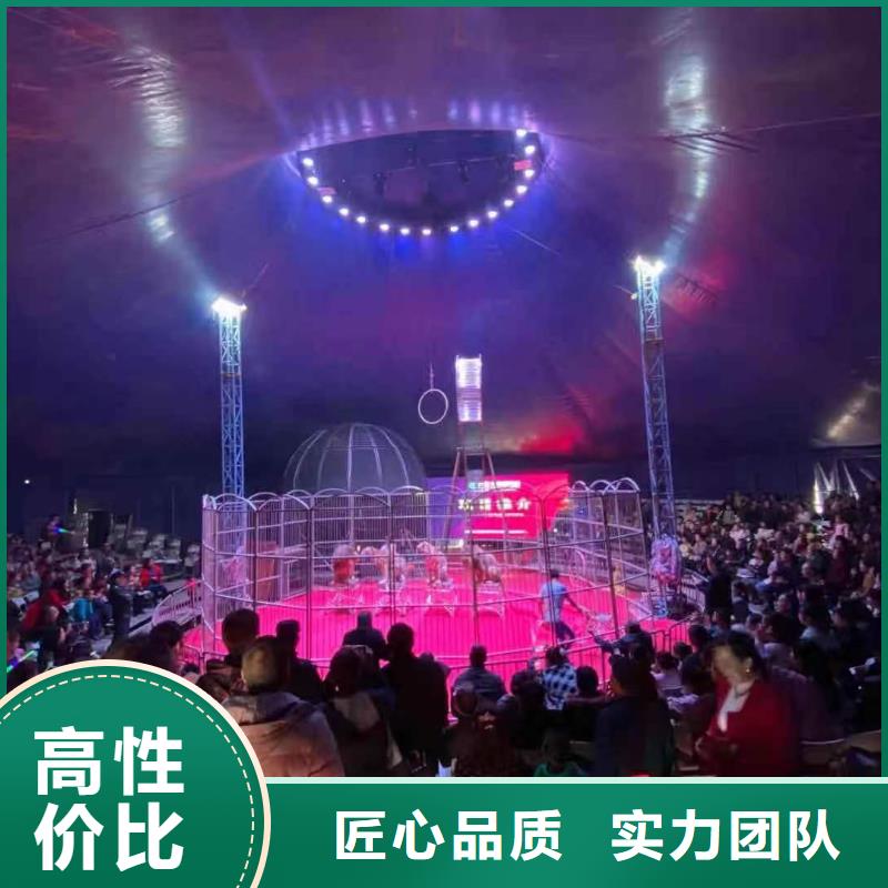 动物表演出租活动图片