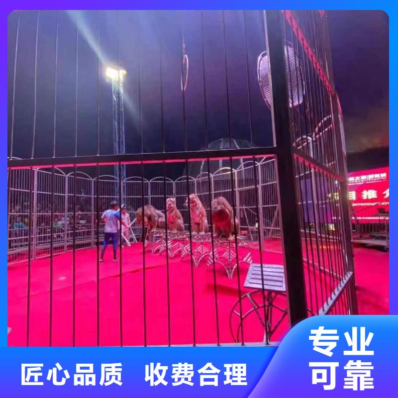 租赁马戏团表演暖场氛围