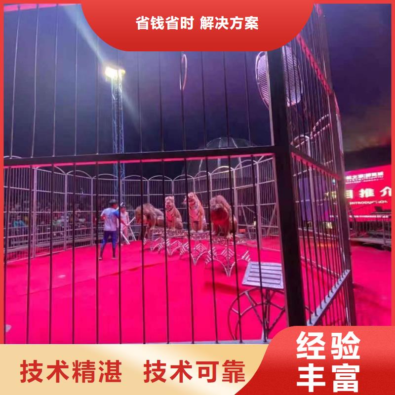 出租表演马戏团活动方案