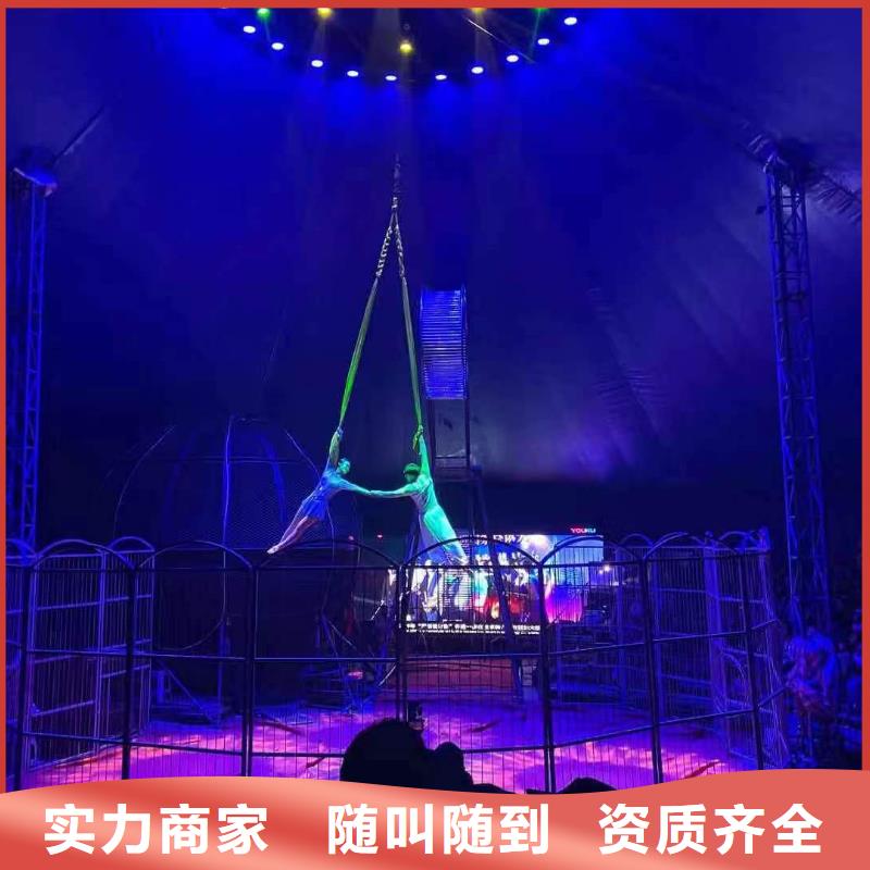 羊驼萌宠出租商场活动