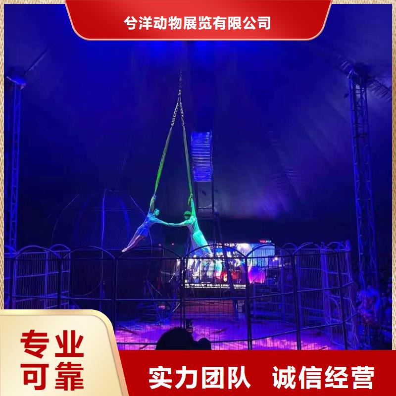 马戏团表演出租房地产活动