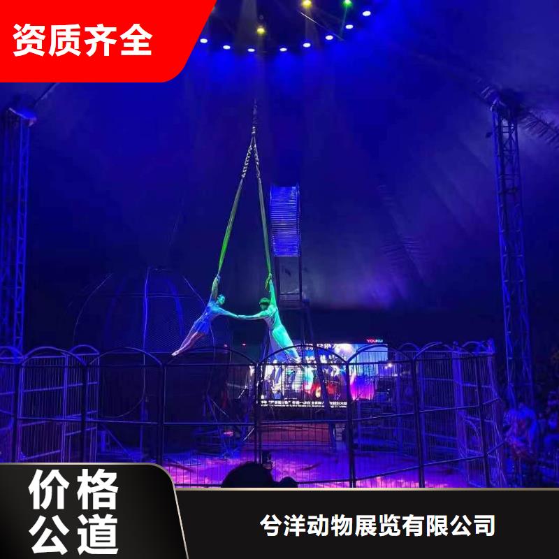 羊驼出租活动方案