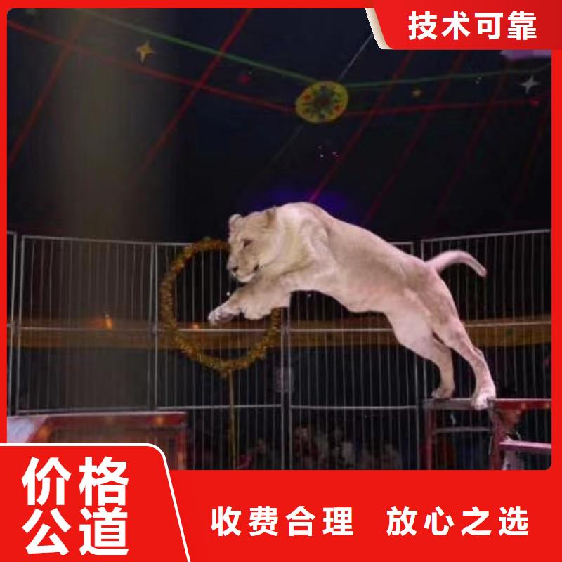 萌宠动物展出租联系电话