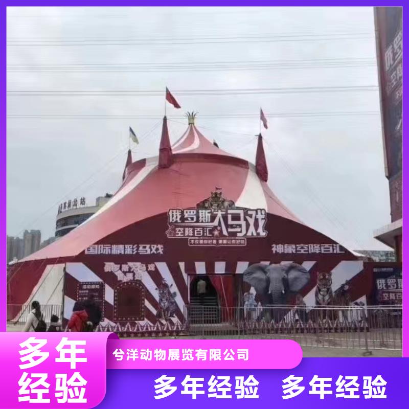 哪里有出租动物的诚信厂家