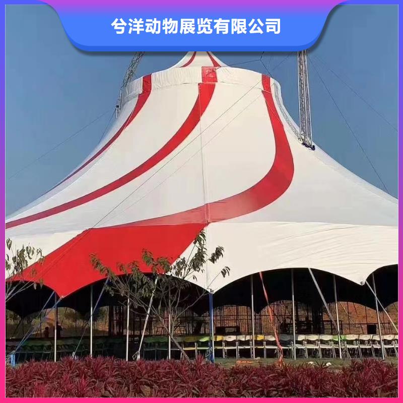 萌宠动物展出租厂家现货批发