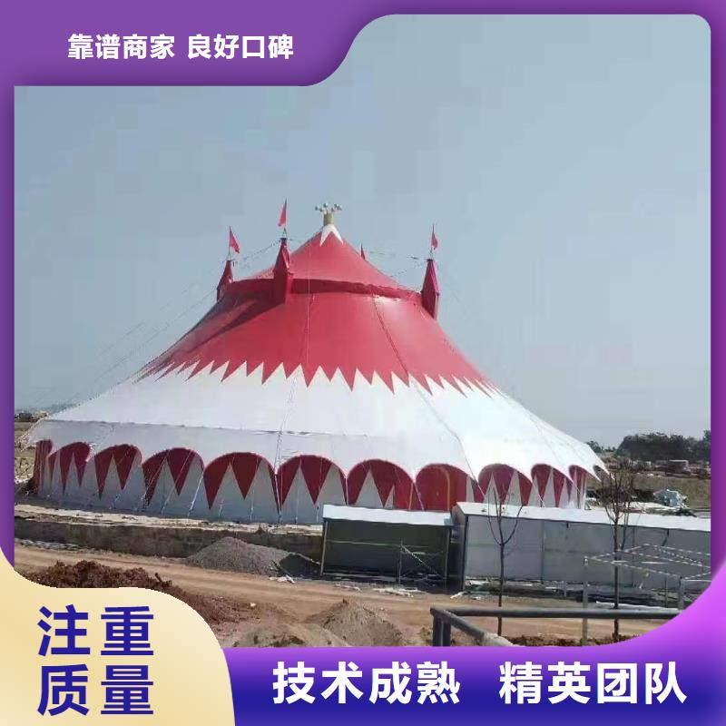 马戏团表演租赁图片