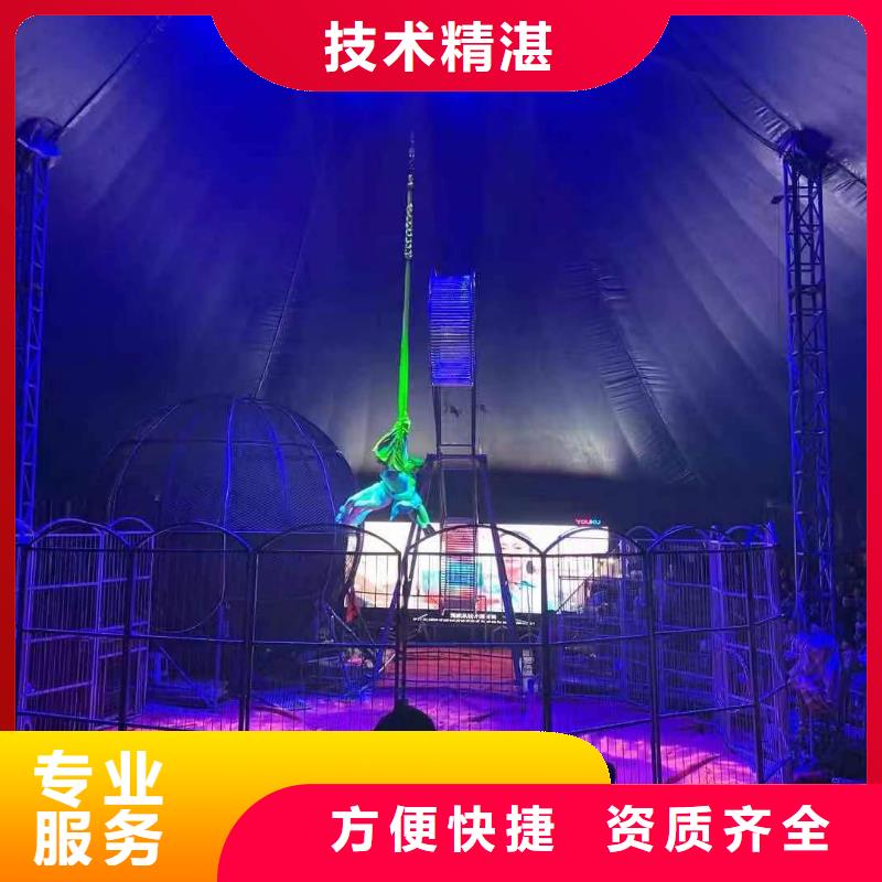 羊驼出租活动案例