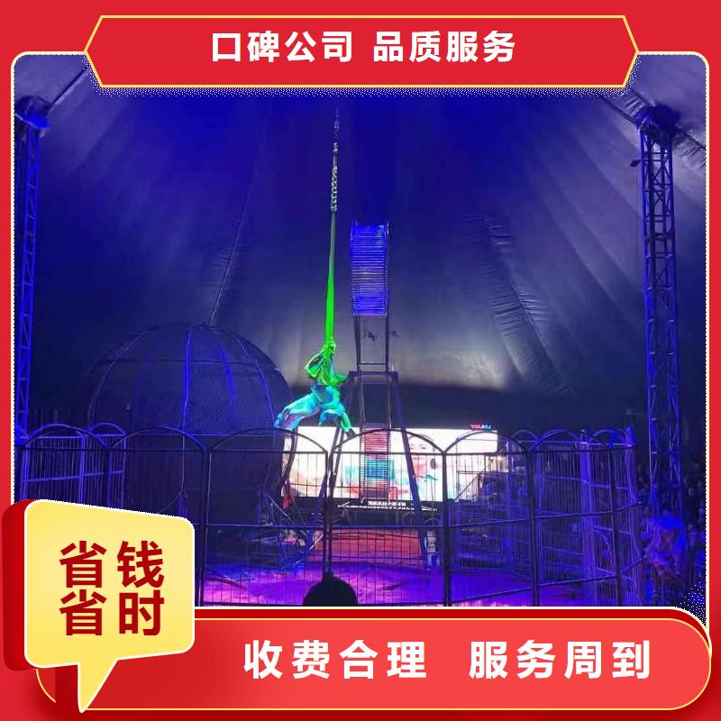 萌宠展出租暖场氛围