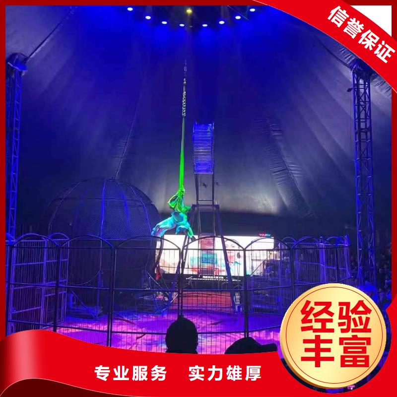 马戏团表演租赁优选品牌