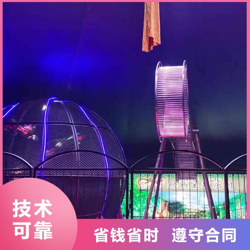 动物表演出租免费策划