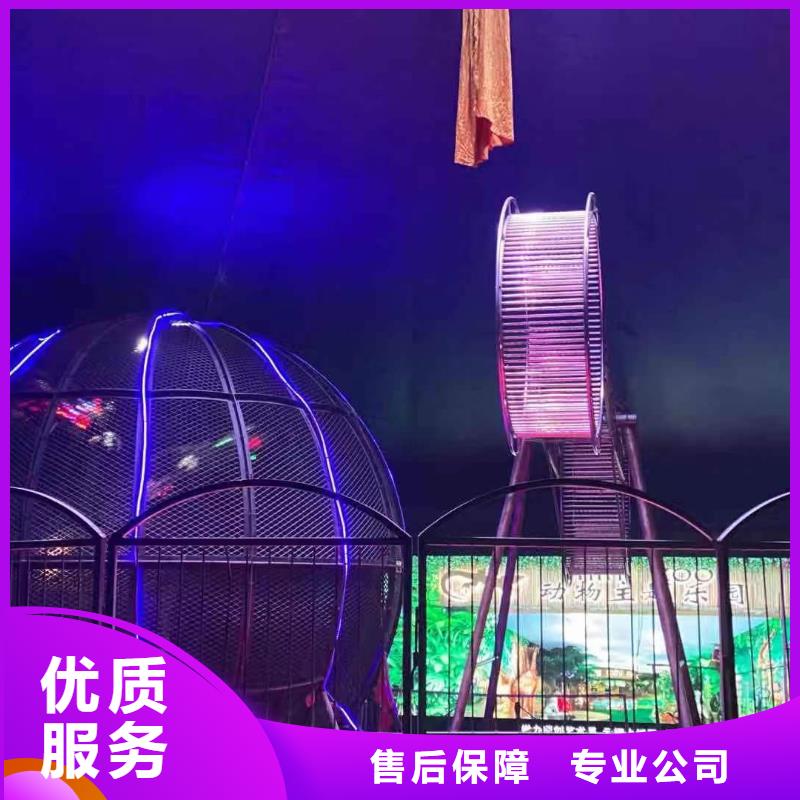 马戏团表演租赁点击查看