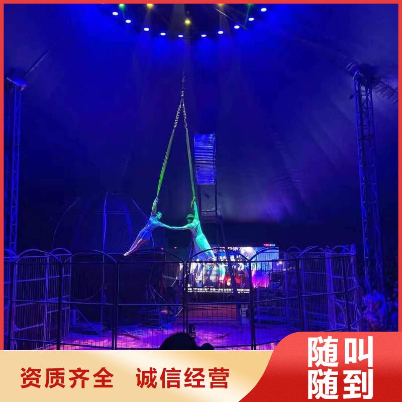 羊驼出租点击查看