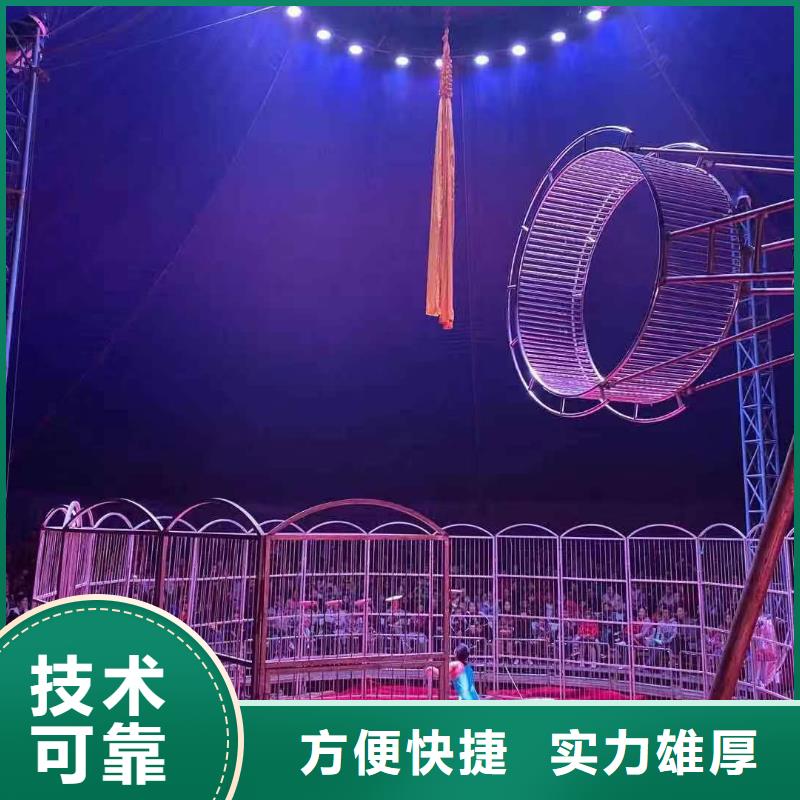 附近羊驼出租公司