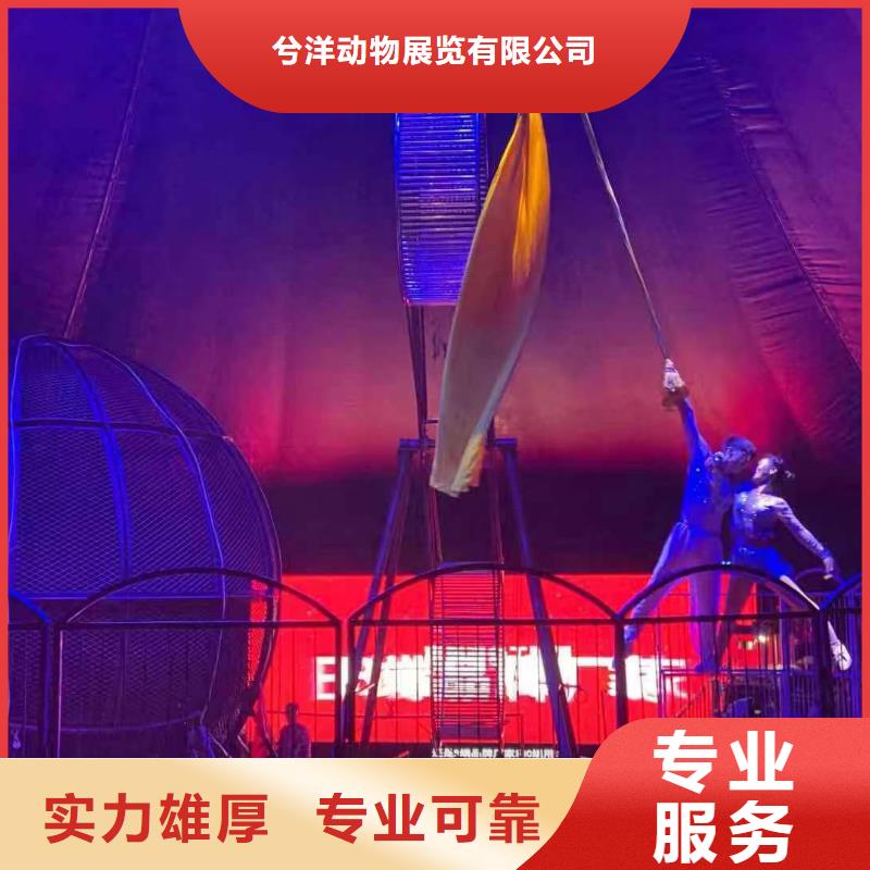 哪里有出租动物的点击查看