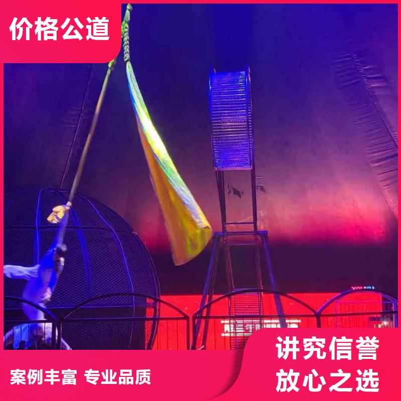 动物租赁暖场活动