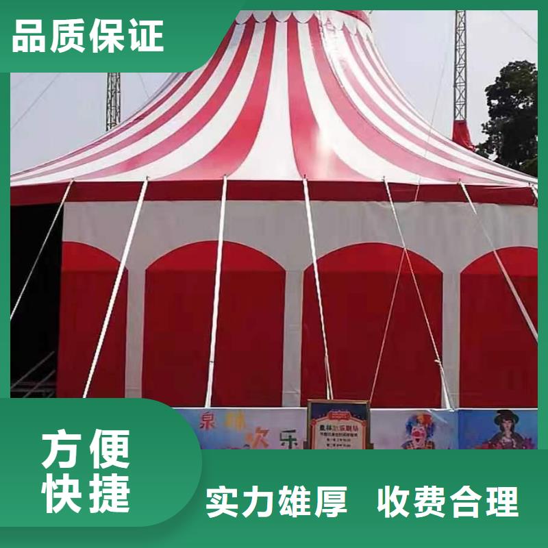 马戏团/羊驼_羊驼出租注重质量
