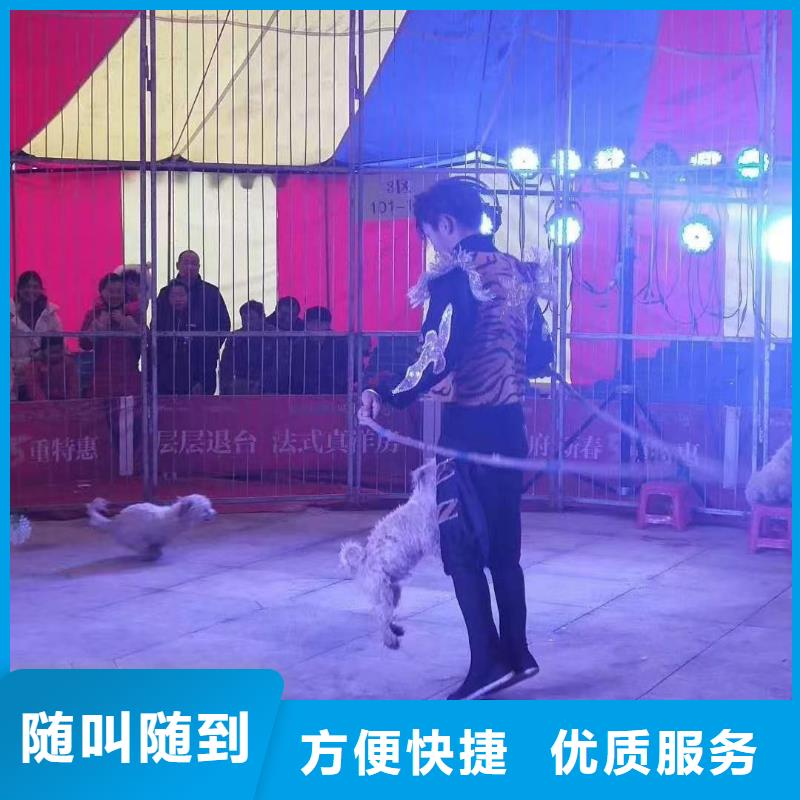 羊驼出租一手资源