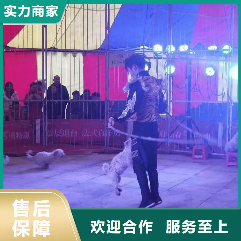 出租表演马戏团一手资源
