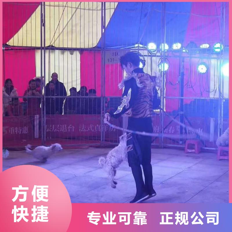 羊驼出租联系电话