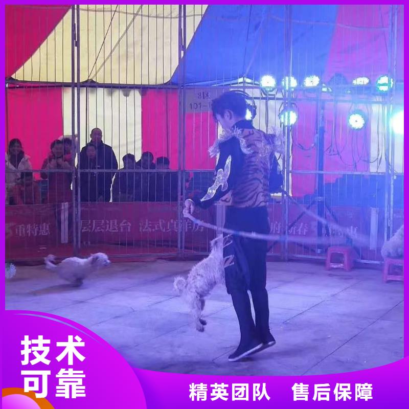 马戏团表演出租庆典暖场