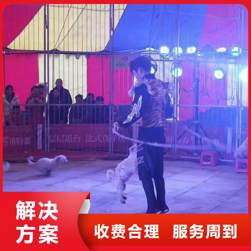 羊驼出租活动方案