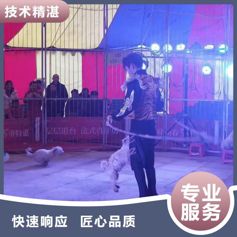哪有出租马戏团的房地产活动