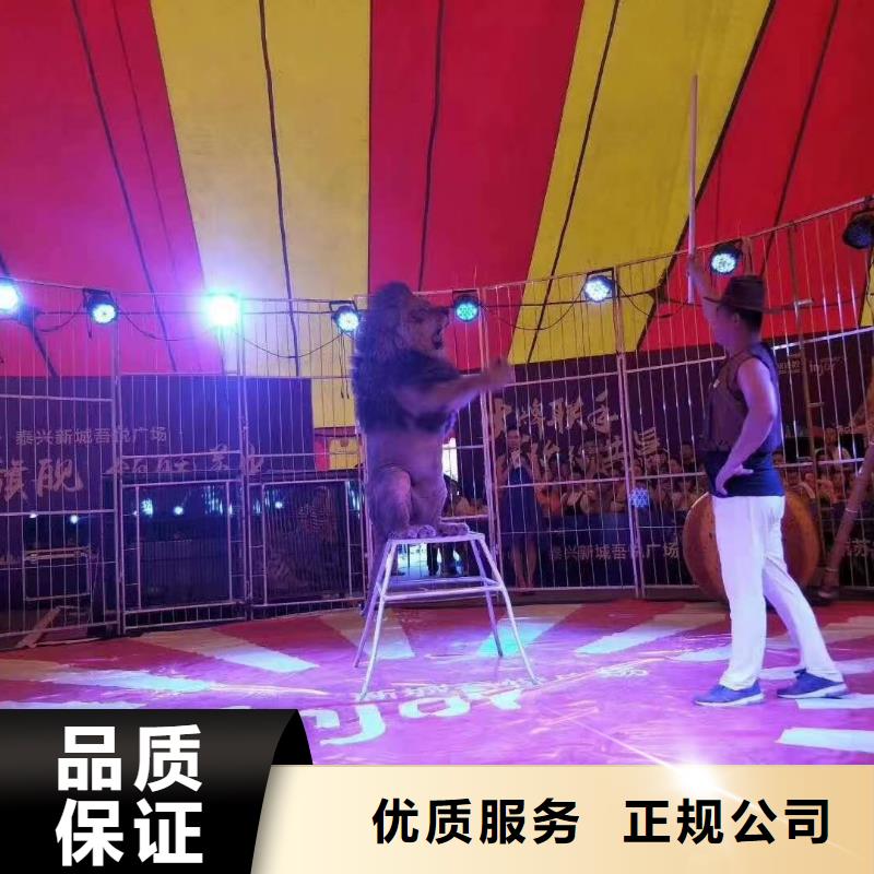 马戏团演出马戏团表演出租