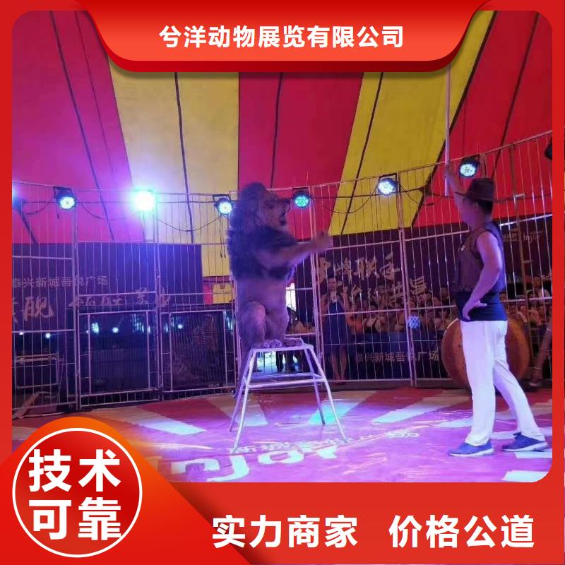 动物表演出租联系电话