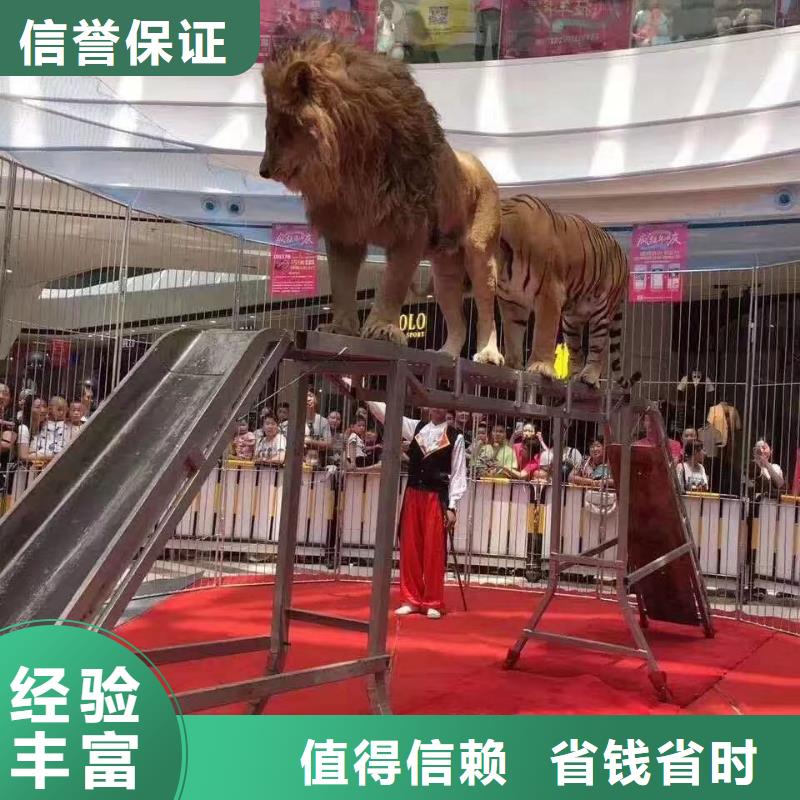 动物展出租正规厂家