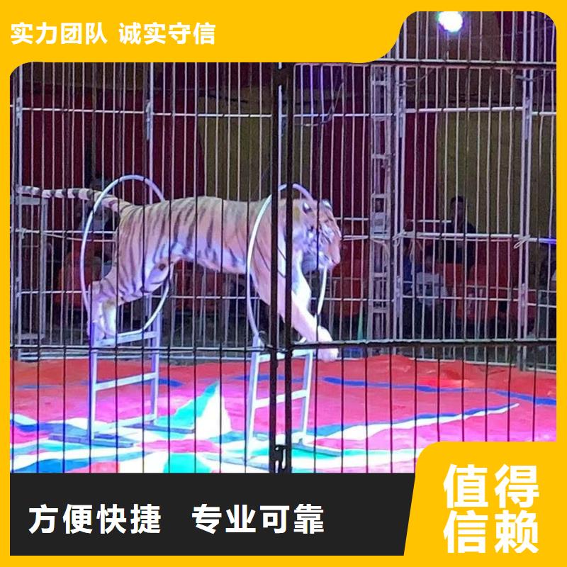 羊驼出租点击查看