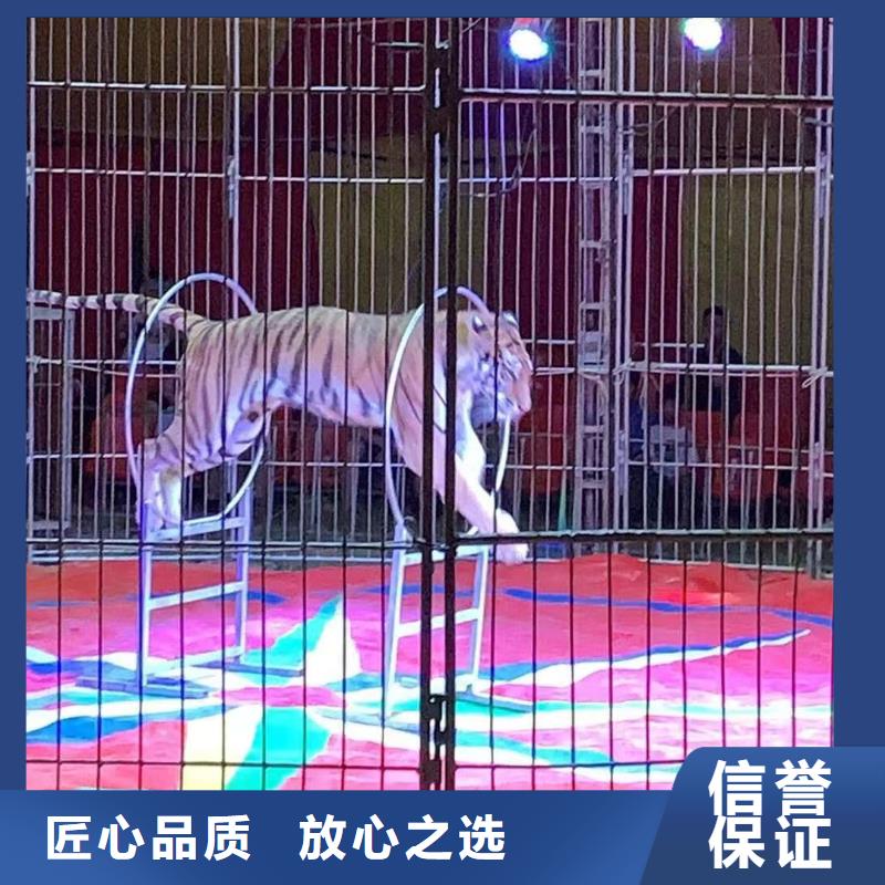 哪有出租动物的活动方案