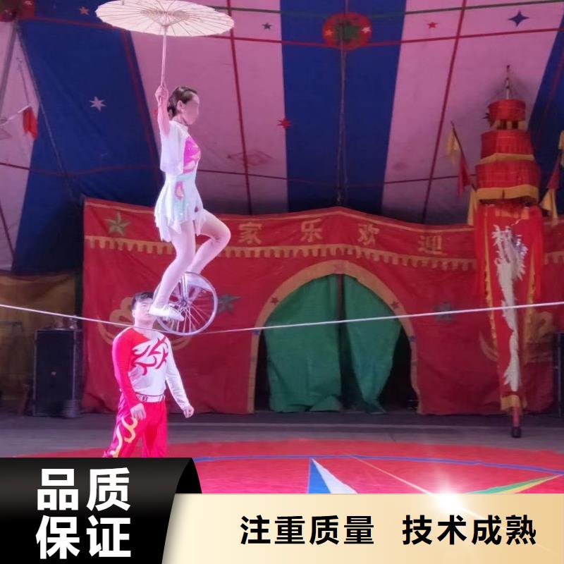 马戏团/羊驼,【【出租海狮表演】】技术可靠