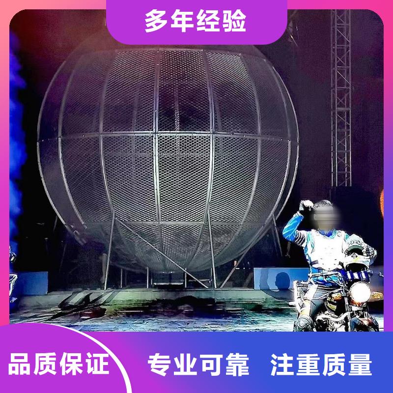 哪有租赁羊驼的活动庆典