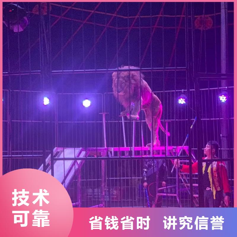 哪有出租羊驼的暖场活动