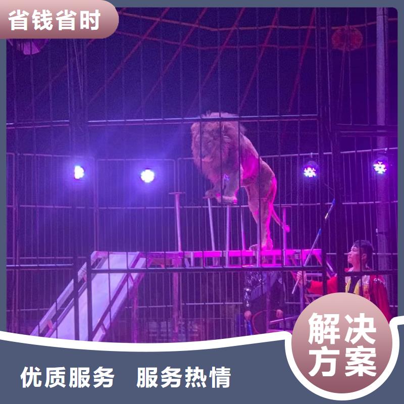 哪里有出租动物的点击查看