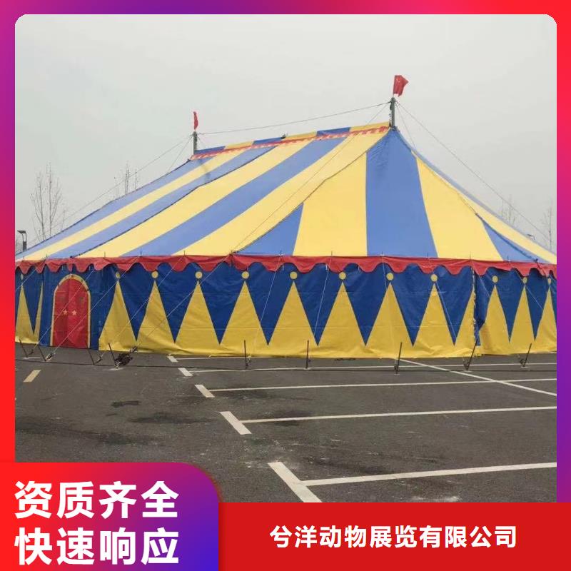 动物展出租正规厂家