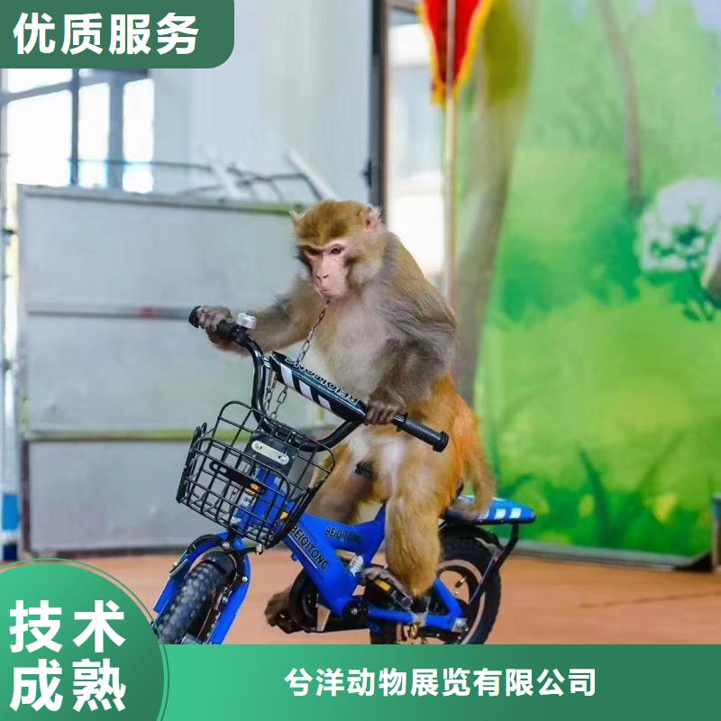 萌宠展出租联系方式