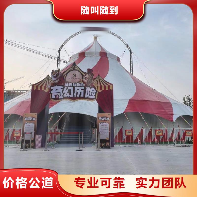 附近羊驼出租公司