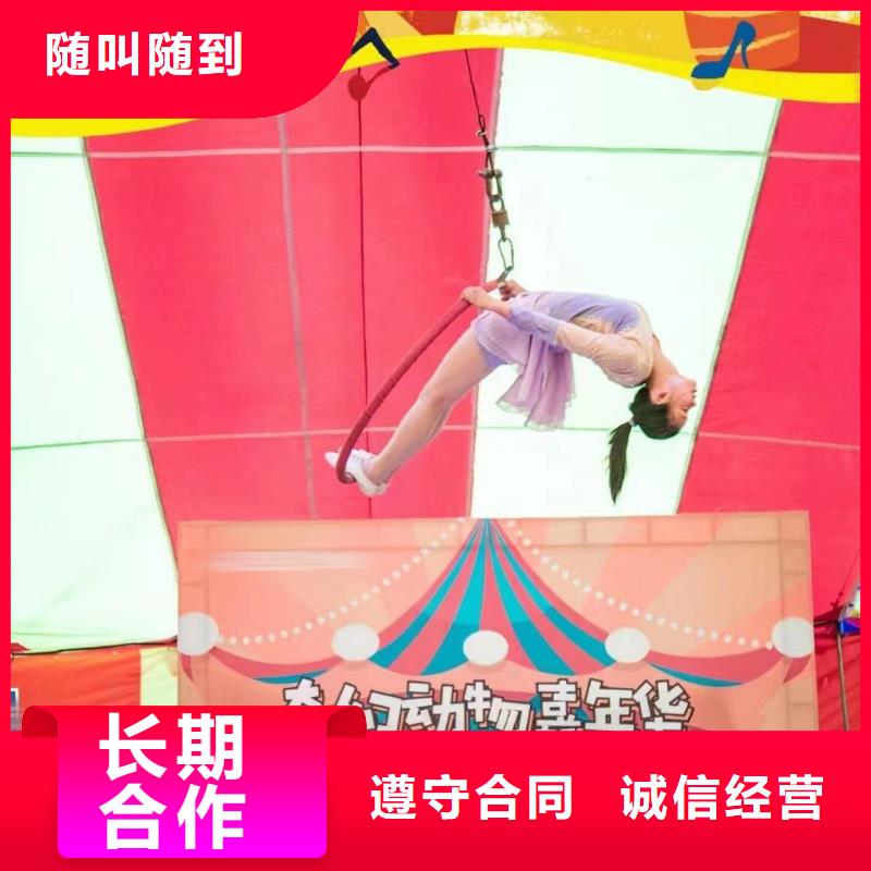 哪里有羊驼租赁的图片案例