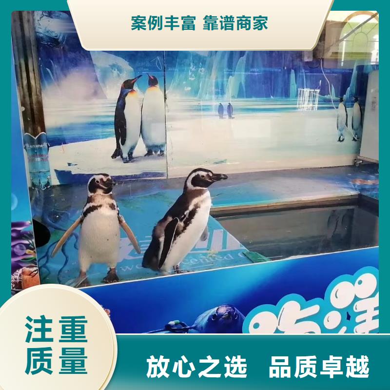 海洋生物鱼缸展出租全国承接